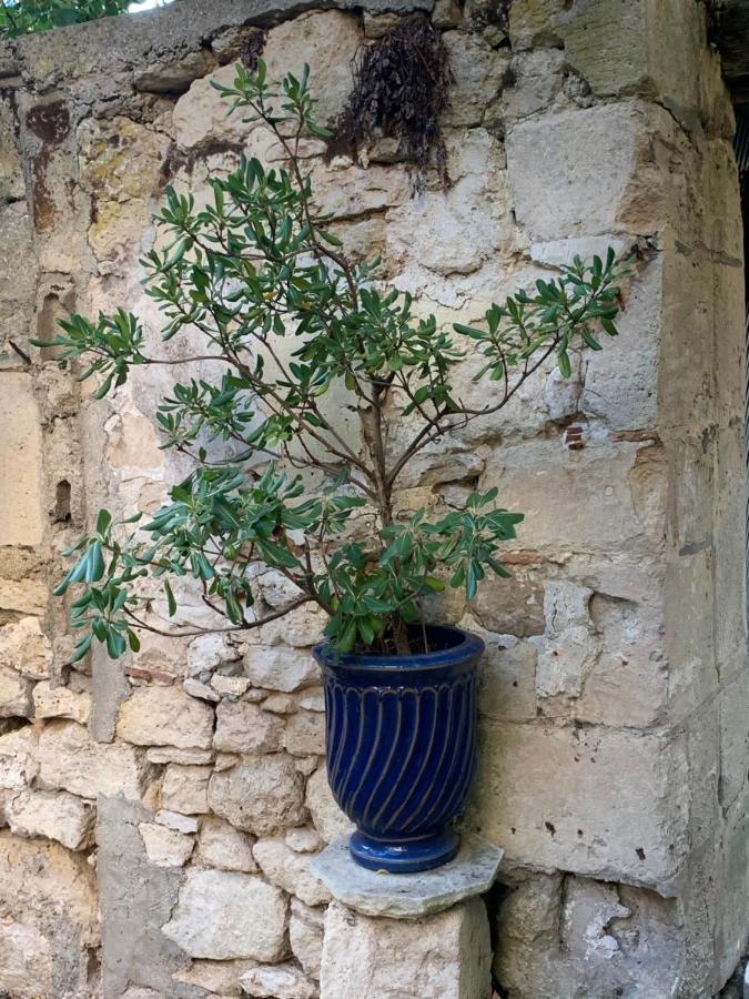 La Petite Maison Crepy en Valois Bagian luar foto